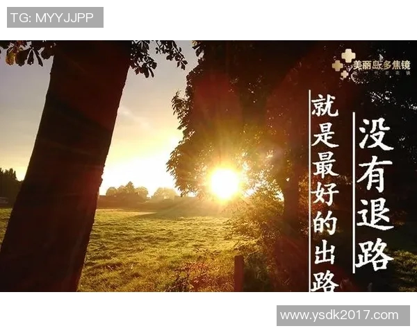 世界杯足球明星小报聚焦全球球星风采与精彩瞬间的全景报道