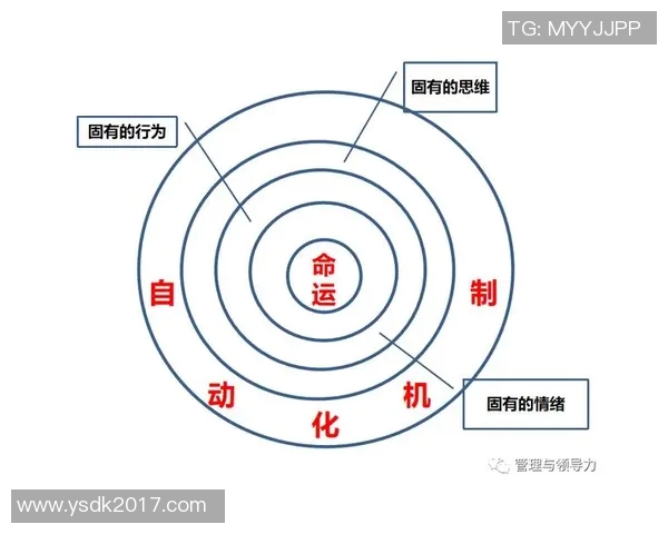 日本足球明星的崛起与成就探讨及其对全球足球的影响